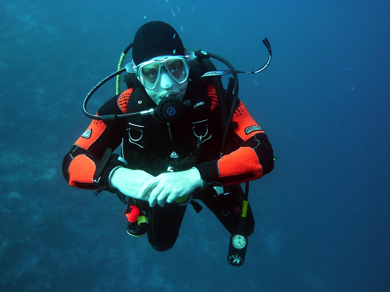 BUCEO