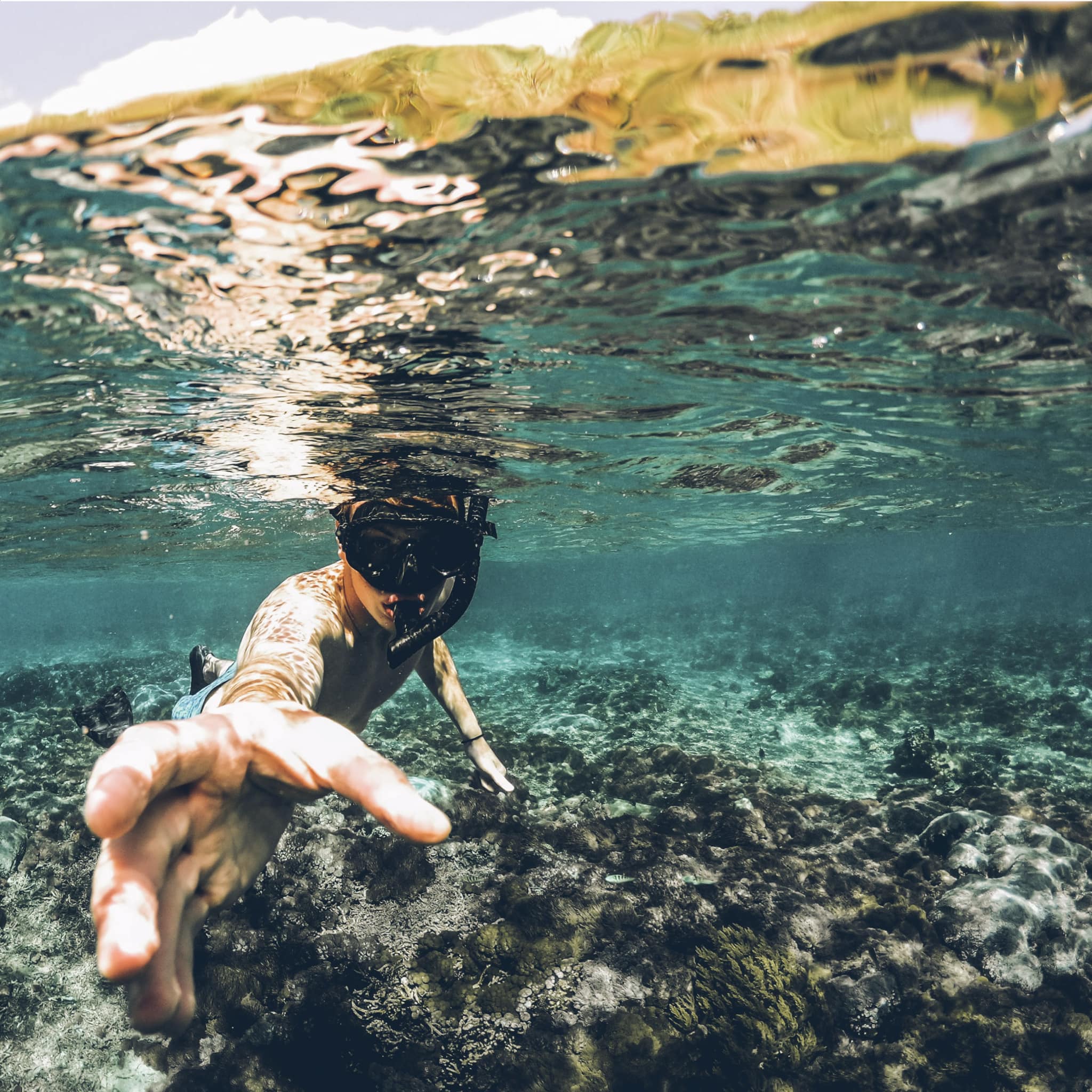 SNORKEL